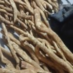 Rễ xáo tam phân rừng
